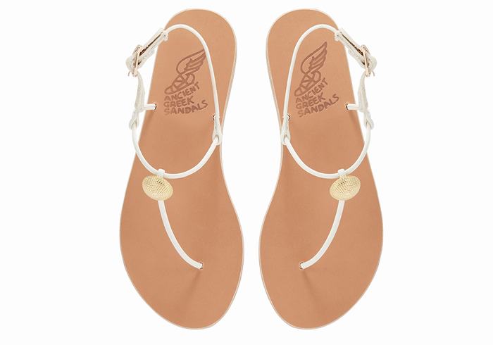 Sandales Bride Arrière Ancient Greek Sandals Dimitra Flip Flop   | JWC-1185266